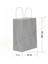 Gümüş Kraft Çanta Orta Boy 25X12X31 cm 25 Adet 1