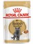 British Shorthair için Yaş Kedi Maması 12 x 85g 9