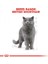 British Shorthair için Yaş Kedi Maması 12 x 85g 12