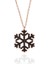 925 Ayar Gümüş Rose Siyah Taşlı Kar Tanesi Kadın Kolye 3
