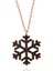 925 Ayar Gümüş Rose Siyah Taşlı Kar Tanesi Kadın Kolye 5