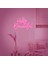 Hello Beautiful Neon LED Yazı 1