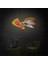 Pizza Tablosu Neon LED 1