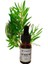 Çay Ağacı Yağı 10 ml (Tea Tree Oil) 3