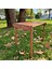 Trailtop Ahşap Katlanır Kamp Masası -45*60*50CM 3