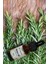 Biberiye Yağı 10 ml (Rosmarinus Oil) 2