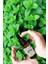 Aromatik Nane Yağı 20 ml (Aromatıc Papper Mınt Oil) 2