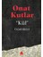 Kül - Günlükler 1