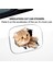 3D Kedi Araba Çıkartmaları / Pencere, Kamyon ve Araba Için Çıkartma (Yurt Dışından) 2