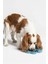 Slow Feeder | Köpekler Için Yavaş Besleme Mama Kabı 6