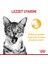 Sensory Tat Duyusu için Sos İçerisinde Yaş Kedi Maması 12 x 85g 14