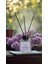 -Lavanta-Çubuklu Koku-Beyaz-Lavanta Bambu Oda Kokusu 100 ml – Aromaterapi | Doğal ve Rahatlatıcı Esans 1