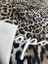 Leopar Desenli Plaj Havlusu Çantaya Dönüşür 70X150 1110L 5