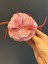 Tüllü Tüğlü Pembe Broş Yaka Iğnesi Giyim Aksesuarı 7x7 cm 1