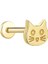 Kedi Tragus Piercing 1