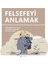 Felsefeyi Anlamak 1