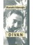 Divan Bütün Şiirler 1