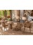 Eyfel Rattan Masa Takımı 6+1 Cappuccino 1