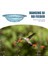 2 katmanlı çiçek tasarımı ile arı besleyici, Kelebek Banyosu Kuş Yemek Tepsisi beslemek için Asılı Arı Sulama İstasyonu (Yurt Dışından) 10
