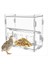 Papaz Besleyici Kutusu Akrilik Besleme Konteyneri No-Sess Çoklu Çizgi Kutusu Açık Kuş Yemek Dispenser Kutusu Finches Papağanlar (Yurt Dışından) 6