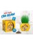Okul Temalı Çim Adam 6'lı Set – Çocuklar Için Eğitici ve Bitki Yetiştirme Kiti 3