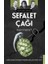 Sefalet Çağı 1