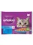 Ton Somon Pouch Kedi Yaş Mama (4X85GR) 5ADET Balık Favorileri Ton Somon Kedi Konserve 2
