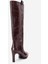 Lunelle Bordo Baskı Altın Detaylı Sivri Burunlu Kadın Topuklu Çizme 5