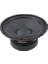 25CM (10 Inç) 200 Watt Profesyonel Hoparlör - 8 Ohm 1