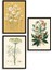 Çiçek Üçlü Ahşap Çerçeveli Tablo 1