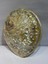 Abalone Large Whitewidov 7