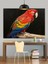 Parlak Renkli Macaw Papağanı Portresi Dekoratif Kanvas - Mdf Ahşap Tablo 4