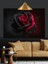 Siyah Fonda Kırmızı Gül Detayı Dekoratif Kanvas - Mdf Ahşap Tablo 3