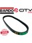 Motolux Macchiato 125 Bando Kayış Japon CT0519 1