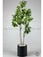 Yapay Manolya Ağacı 150 cm Metal Saksıda 4