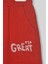 Erkek Çocuk %100 Pamuk Great Nakışlı Trex Süzeneli Paça Lastikli Takım - 2144 4