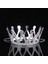 Bfs Gümüş Renk Çocuk ve Yetişkin Uyumlu Kraliçe Tacı Prenses Tacı 8X25 cm 3