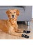 Yzlal Trixie Köpek Çorabı Kaymaz L-Xl 2 Adet Siyah 1