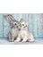 - 500 Parça Hq Collection Yetişkin Puzzle - Cat & Bunny 2