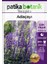 Botanik 50 Adet Adaçayı (Salvia Officinalis) Çiçek Tohumu 2