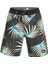 Erkek Boardshort Highlite Arch 19 Siyah 1