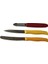 Twin Grip Bıçak Seti, Paslanmaz Çelik, 3 Parça 1