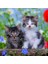 3 x 49 Parça Puzzle Tiger Babies (80465) 3