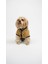 Köpek Kedi Ceket Teddy Welsoft 2