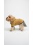 Köpek Kedi Ceket Teddy Welsoft 3