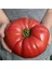 Ithal Dev Hollanda Domates Tohumu 20 Adet Tohum 3