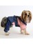 Köpek Kedi Denim Elbise 1