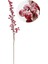 Yılbaşı Dekoru Kar Efektli Kokina Berry Yapay Dal Kırmızı 70 cm 2