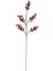 Yılbaşı Dekoru Kokina Berry Yapay Dal Kırmızı - Bordo 70 cm 4