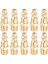 Pirinç 1/4 Inç Npt Erkek Hava Hortumu Hızlı Bağlantı Adaptörü, Hava Kuplör Fiş Kiti, Hava Kompresör Bağlantıları 10PCS (Erkek Npt) (Yurt Dışından) 2